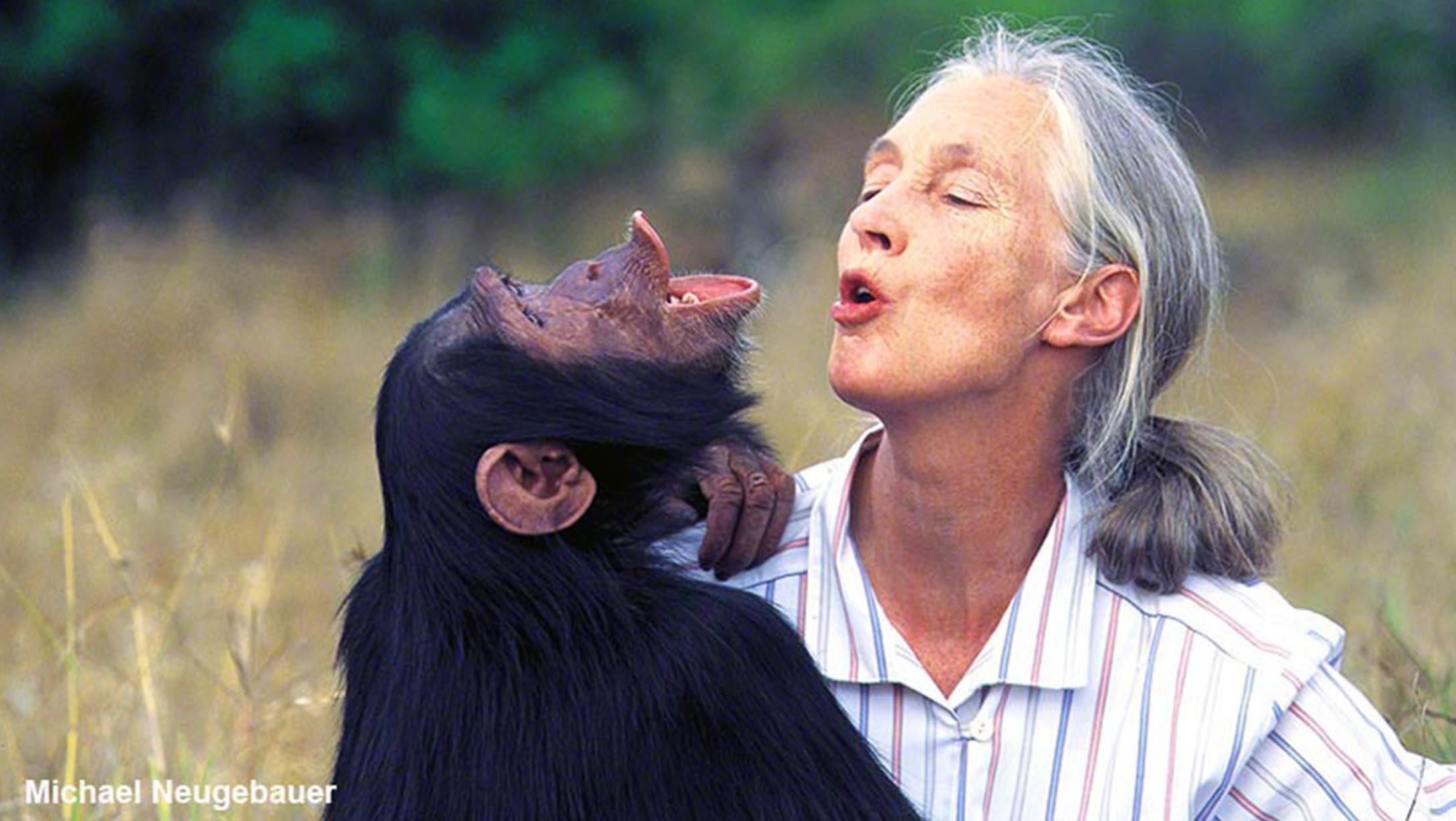 Jane Goodall