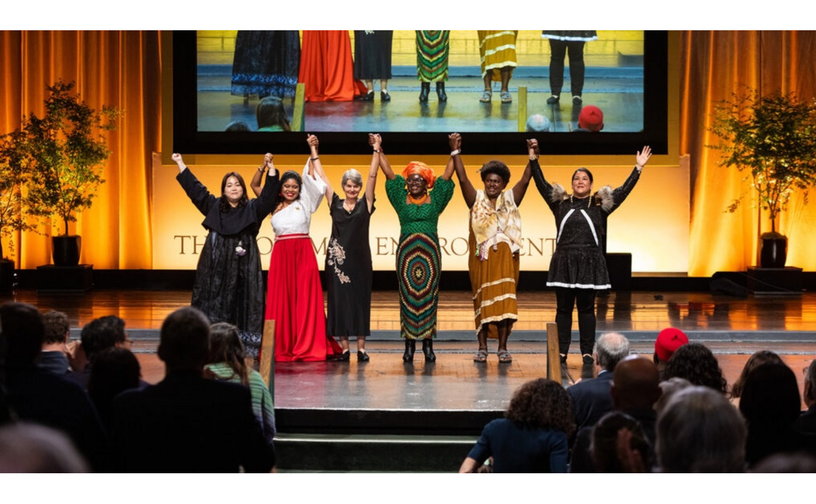 Goldman Prize Winners on stage: Borim Kim, Yuvelis Morales Blanco, Sarah Finch, Iroro Tanshi, Theonila Roka Matbob, and Alannah Acaq Hurley