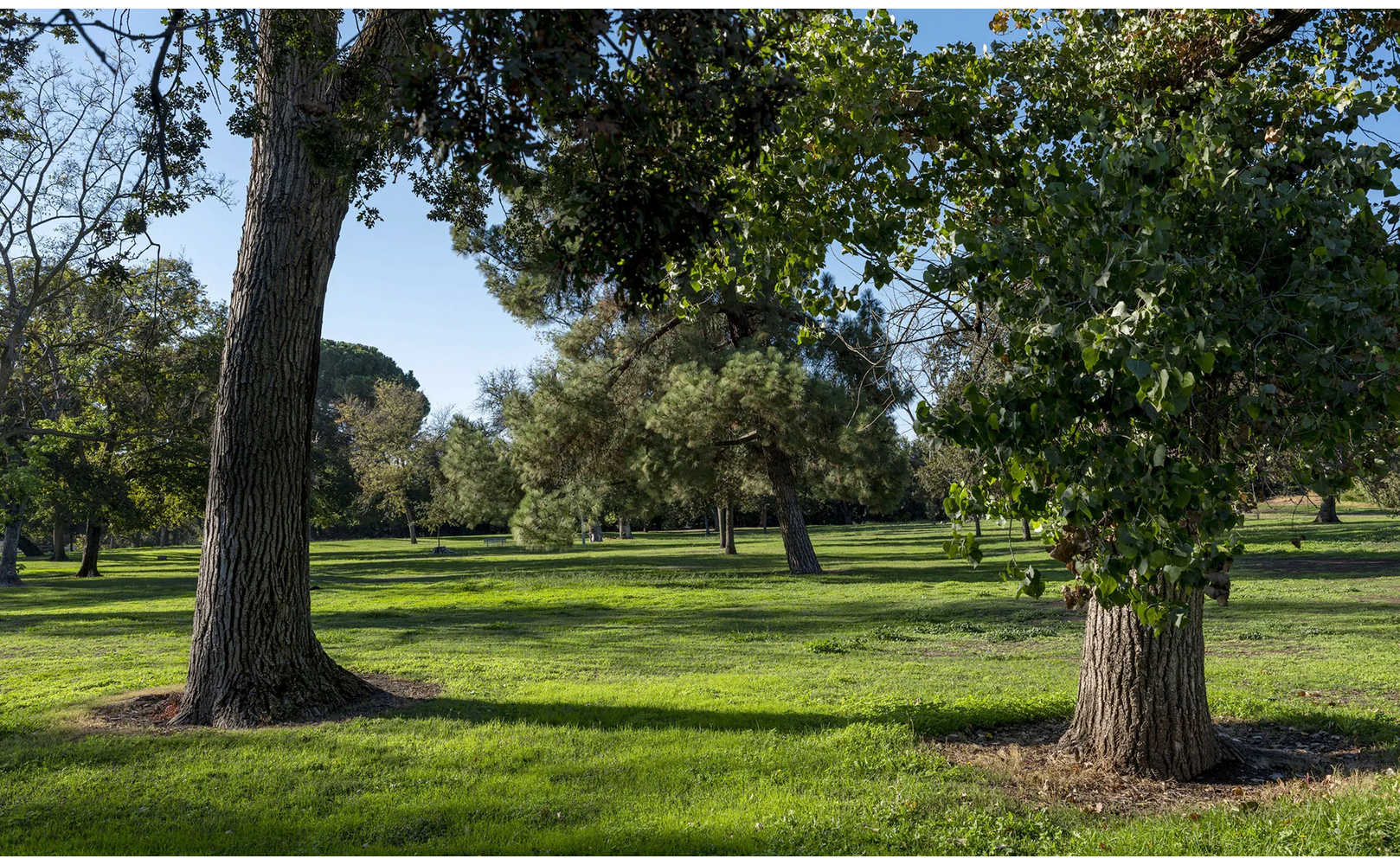  Louis Park in Stockton on Friday, Oct. 14, 2022. (Harika Maddala/CatchLight Local/Bay City News)