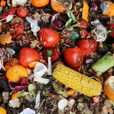 Produce and eggshells scattered throughout a compost pile