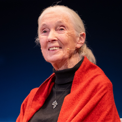 Jane Goodall wearing a black shirt and red cardigan