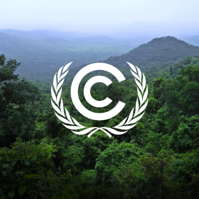 Amazon rainforest overlayed with the COP logo