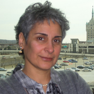 Shohreh Karimipour