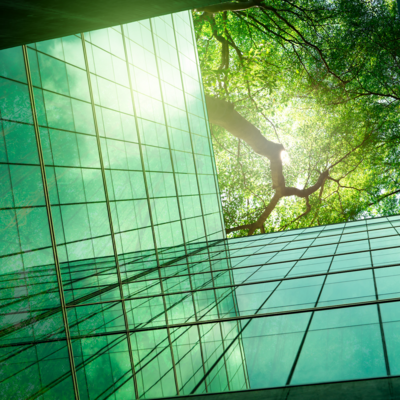 tree canopy over building with glass walls