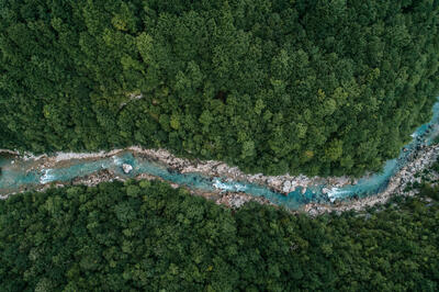 aerial photo of a blue river in a lush green forest